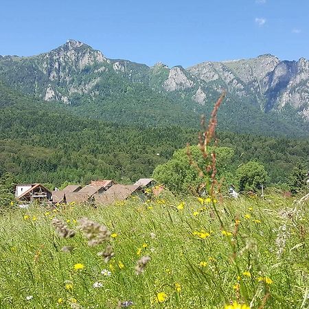 Yael Luxury Apartments 1 Buşteni Eksteriør billede